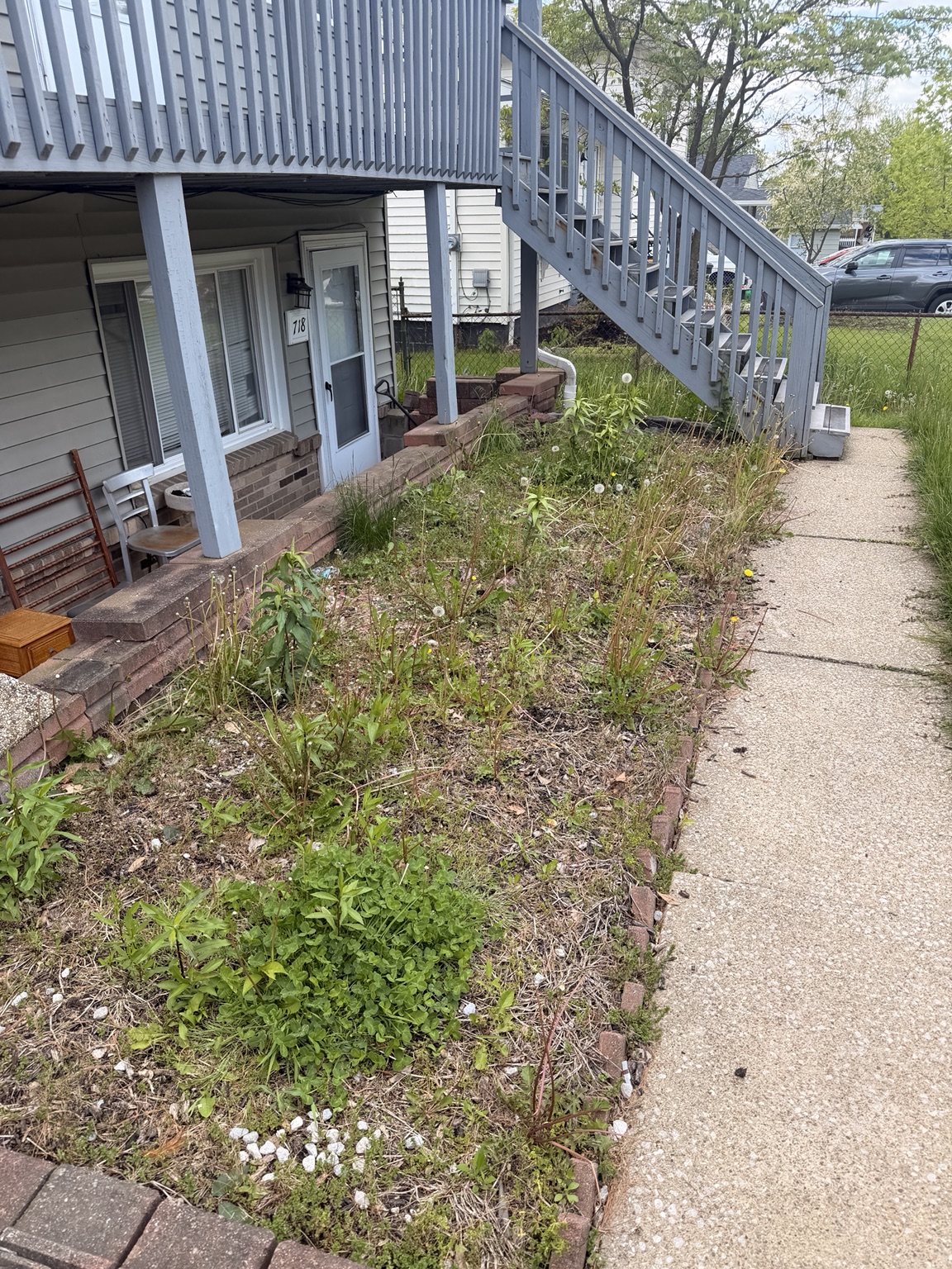 Before: overgrown bed needing cleanup